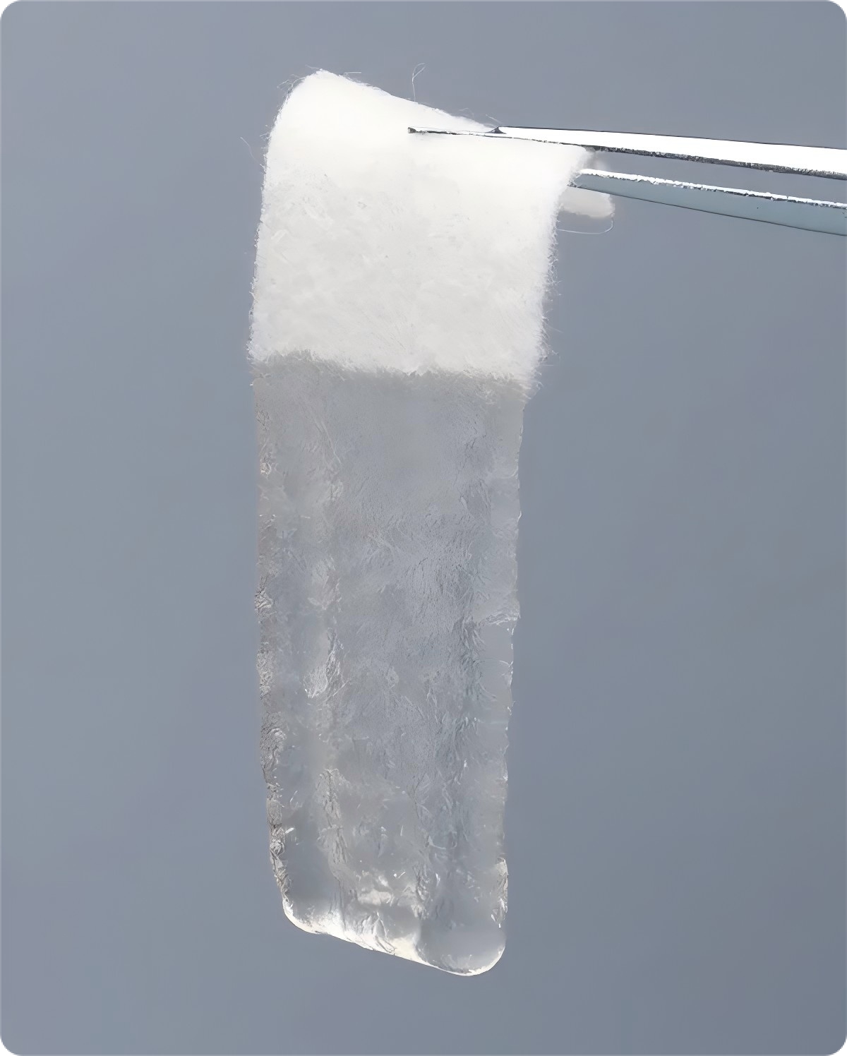 Gelling Fiber Dressing