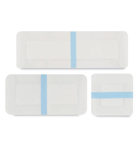 Transparent Wound Dressing